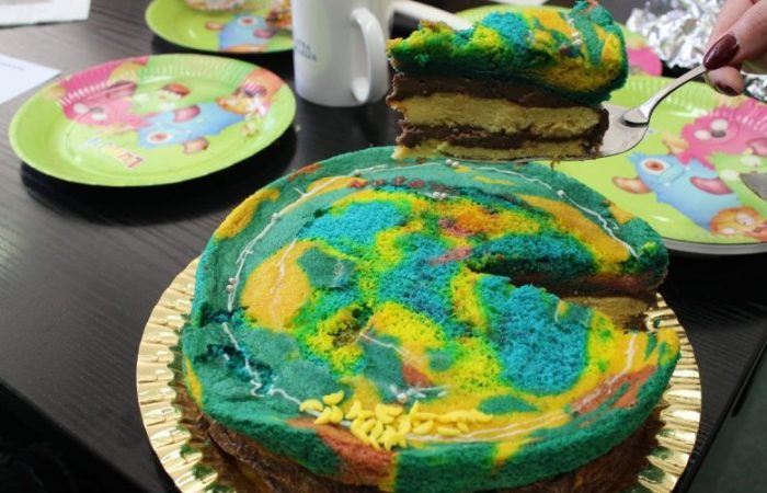 Najljepša torta: Propali eksperiment (Dan Franjić) PPG prva privatna gimnazija zagreb