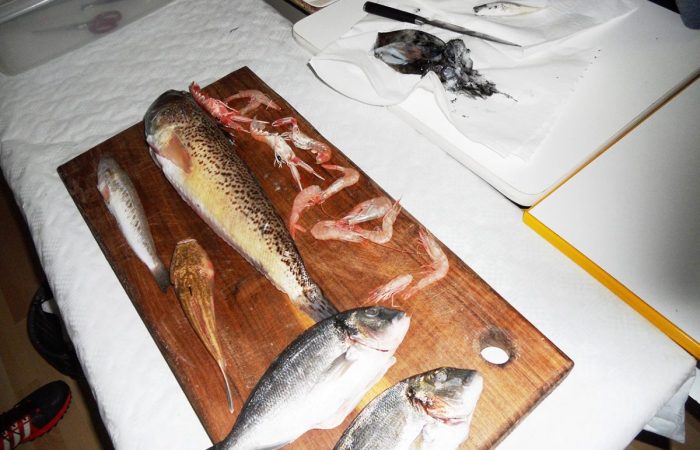 Predavanje profesora Sušića o ribama PPG prva privatna gimnazija zagreb