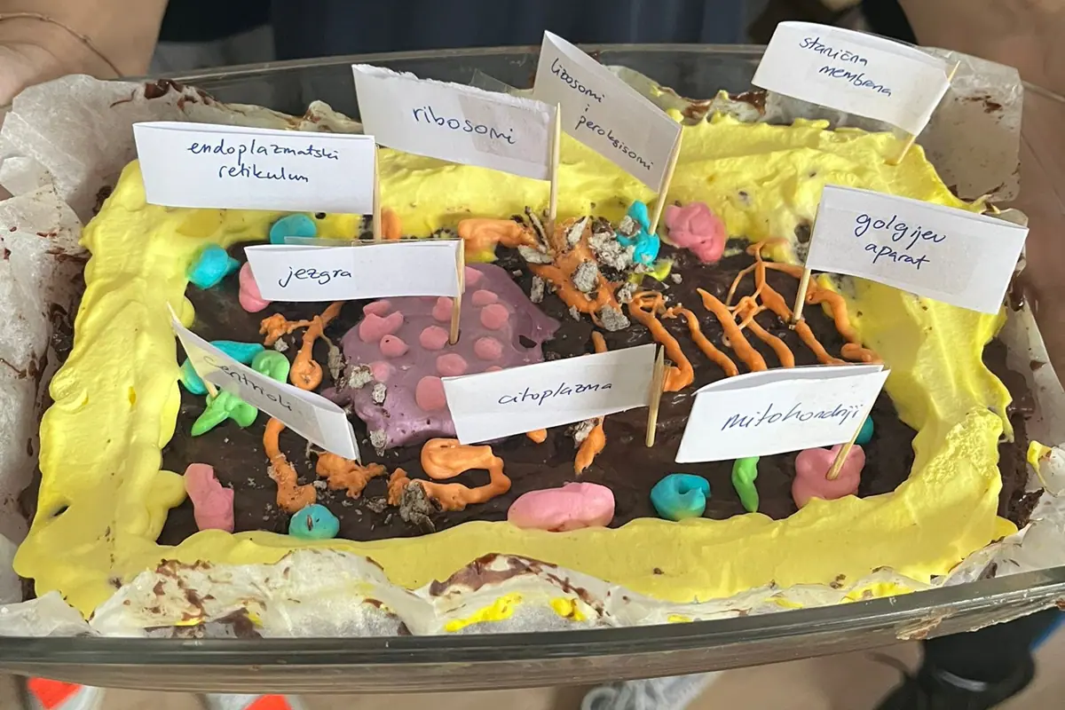 Kreativna nastava: spojili smo biologiju i gastronomiju pa dobili eukariotsku tortu | Prva privatna gimnazija zagreb