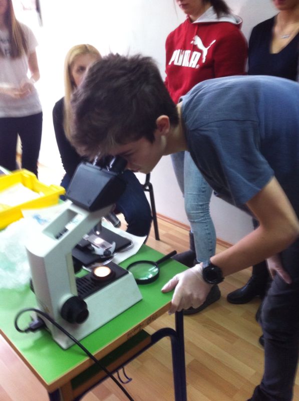 ISTRAŽUJEMO NA BIOLOGIJI | Prva privatna gimnazija zagreb