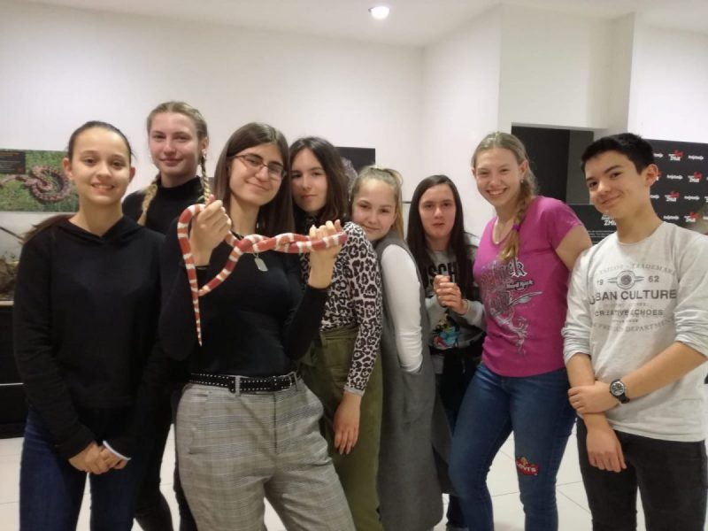 Najotrovnije zmije svijeta! | Prva privatna gimnazija zagreb