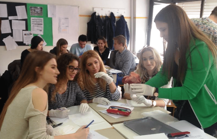 Sat anatomije u PPG-u PPG prva privatna gimnazija zagreb