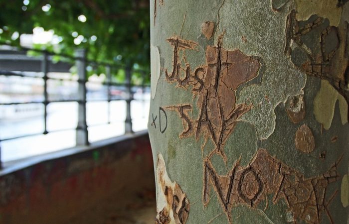 Radionica: Kako reći NE PPG prva privatna gimnazija zagreb