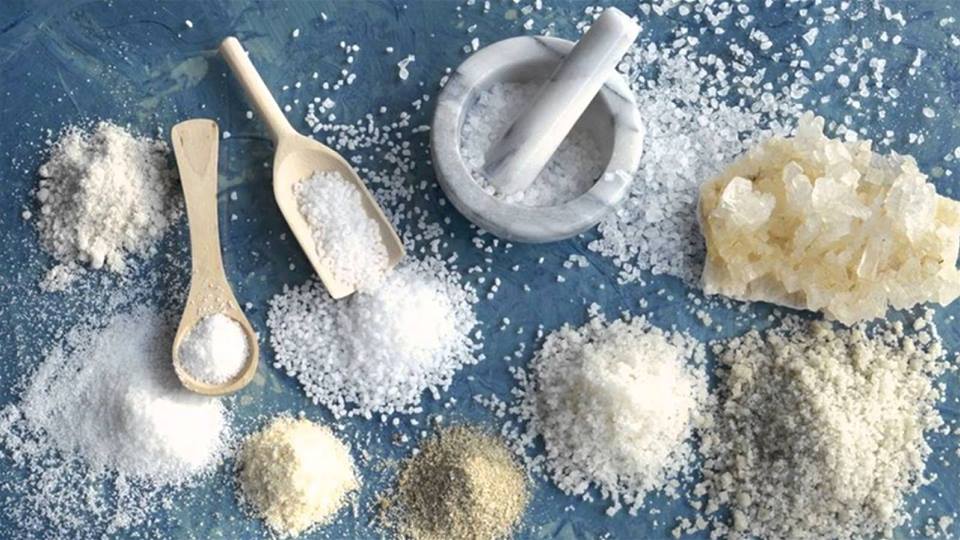 PPG – Predavanje o soli